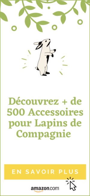 Mon Lapin Tape Des Pattes Arrières Prénoms de Lapin femelle et mâle en S pour 2021