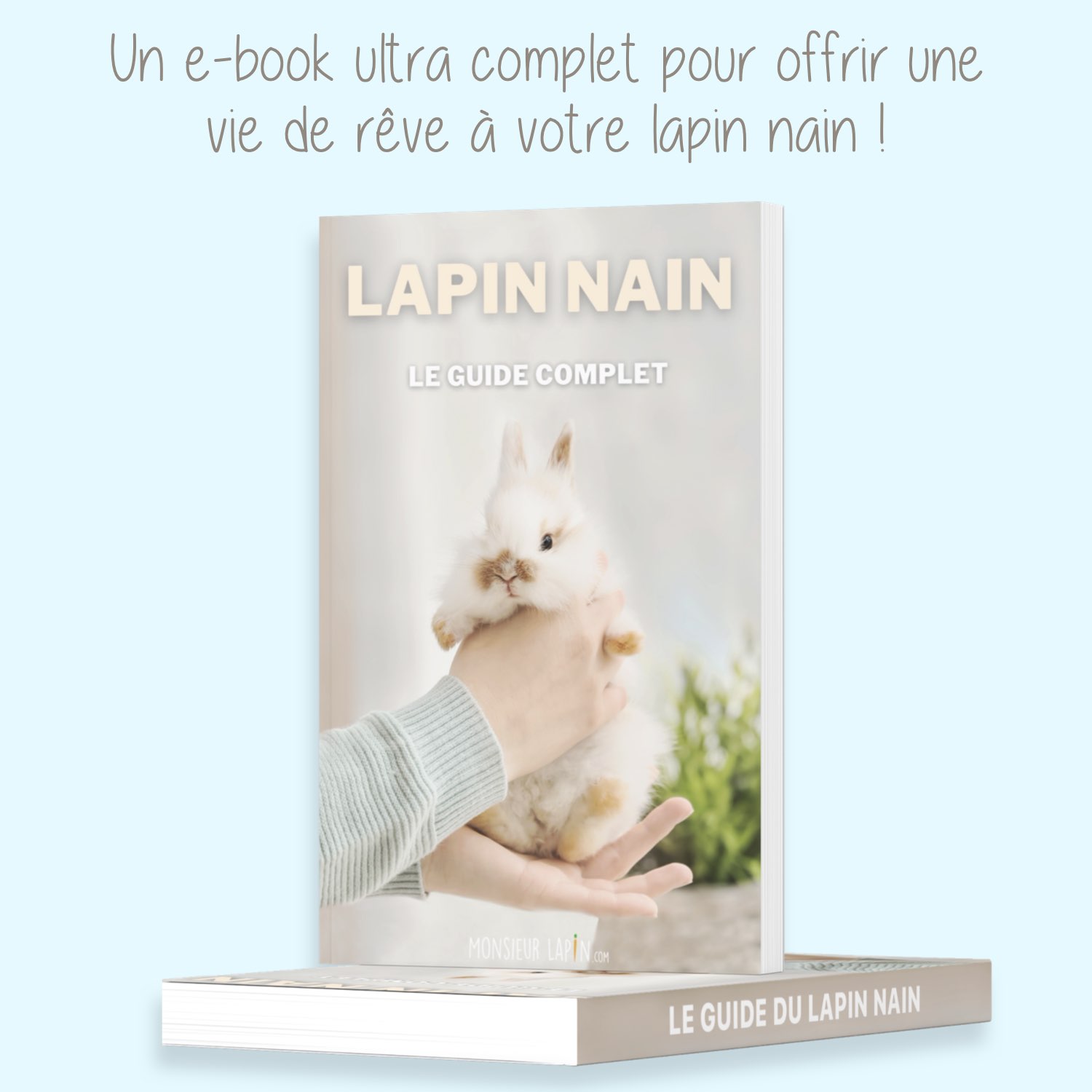 Prénoms de Lapin femelle et mâle en S pour 2021